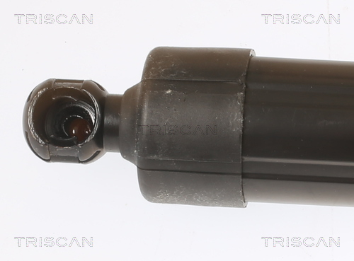 TRISCAN 8710 11313 Gasfjäder, bagageutrymme