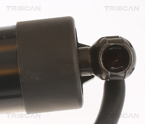 TRISCAN 8710 11313 Gasfjäder, bagageutrymme