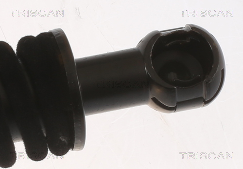 TRISCAN 8710 11353 Gasfjäder, bagageutrymme