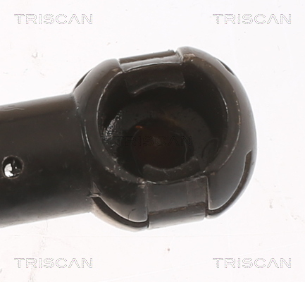 TRISCAN 8710 11354 Gasfjäder, bagageutrymme