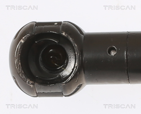 TRISCAN 8710 11355 Gasfjäder, bagageutrymme