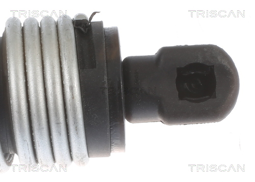 TRISCAN 8710 11357 Gasfjäder, bagageutrymme