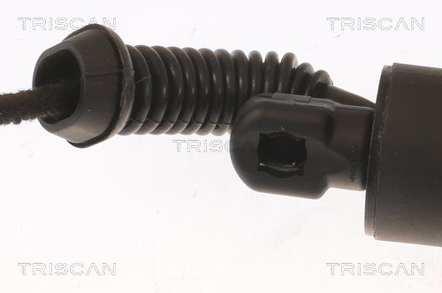 TRISCAN 8710 11358 Gasfjäder, bagageutrymme