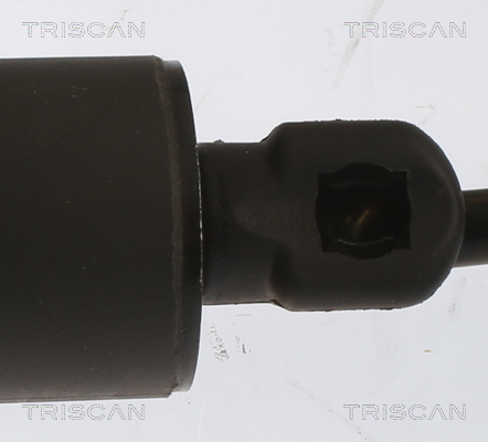 TRISCAN 8710 11361 Gasfjäder, bagageutrymme