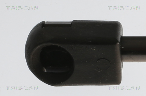 TRISCAN 8710 11362 Gasfeder, Koffer-/Laderaum