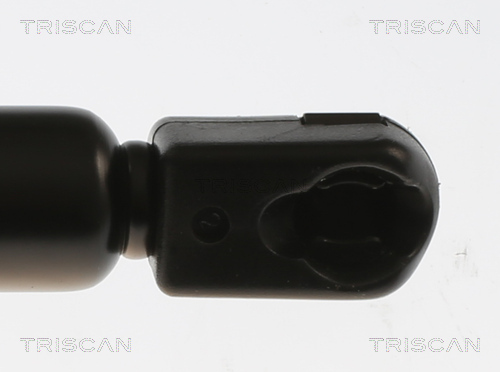 TRISCAN 8710 11362 Gasfeder, Koffer-/Laderaum