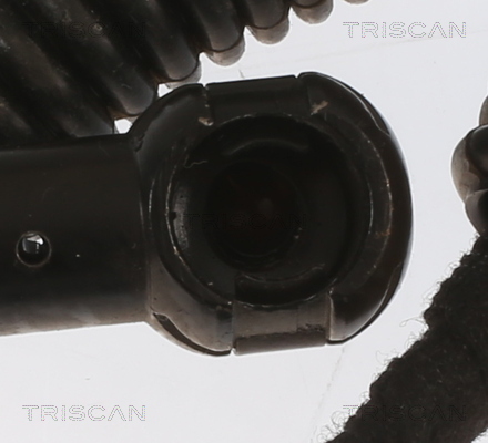 TRISCAN 8710 11364 Gasfeder, Koffer-/Laderaum