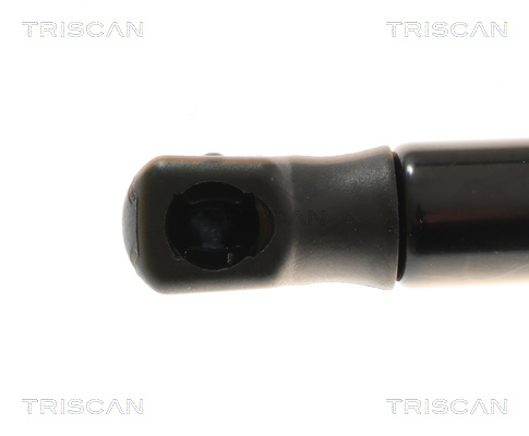 TRISCAN 8710 11365 Gasfeder, Koffer-/Laderaum