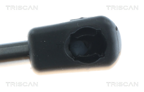TRISCAN 8710 11365 Gasfeder, Koffer-/Laderaum