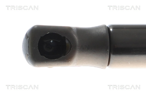 TRISCAN 8710 11366 Gasfeder, Motorhaube