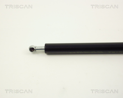TRISCAN 8710 12101 Gasfeder, Motorhaube