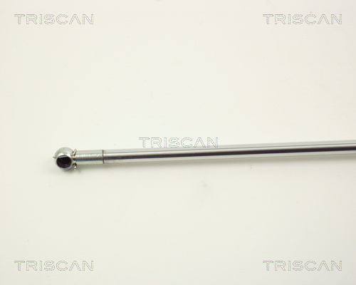 TRISCAN 8710 12101 Gasfeder, Motorhaube