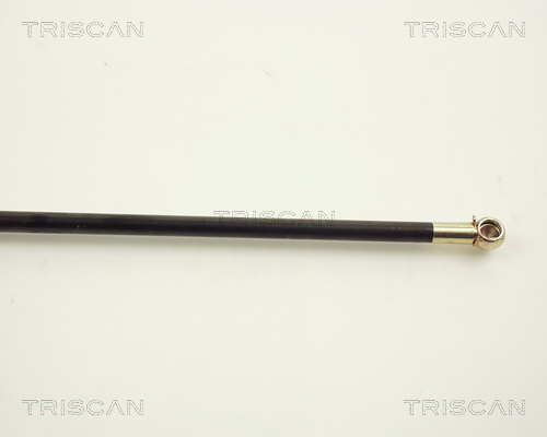 TRISCAN 8710 12201 Gasfeder, Koffer-/Laderaum