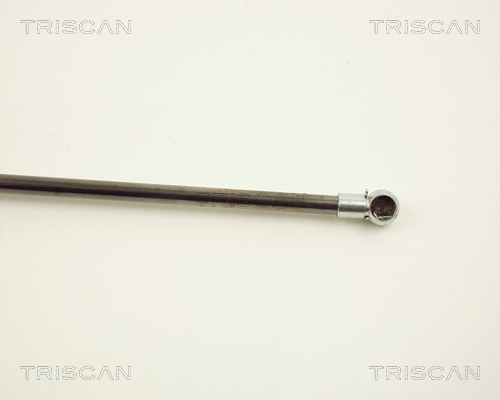 TRISCAN 8710 12205 Gasfjäder, bagageutrymme