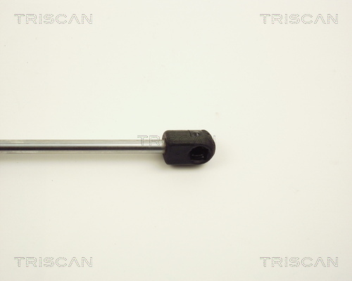 TRISCAN 8710 12206 Gasfeder, Koffer-/Laderaum