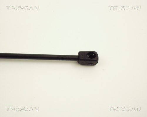 TRISCAN 8710 12209 Gasfjäder, bagageutrymme