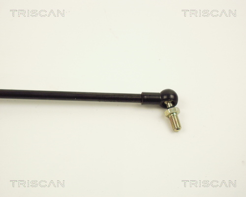 TRISCAN 8710 13202 Gasfjäder, bagageutrymme