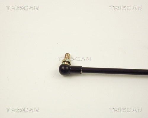 TRISCAN 8710 13206 Gasfjäder, bagageutrymme