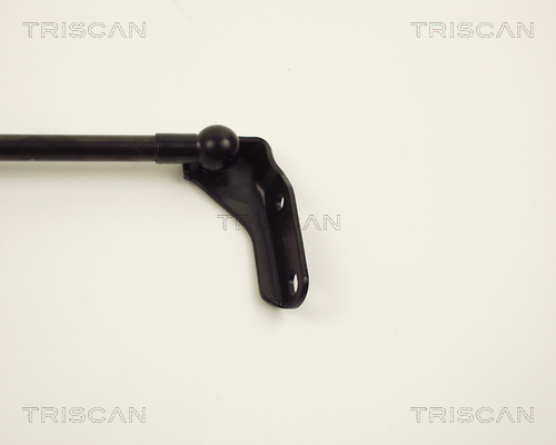 TRISCAN 8710 13221 Gasfjäder, bagageutrymme