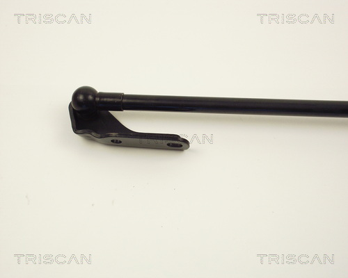 TRISCAN 8710 13222 Gasfjäder, bagageutrymme