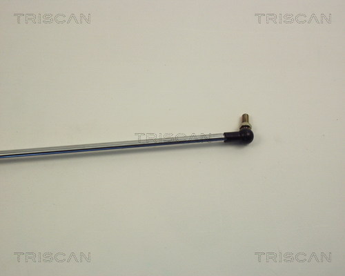 TRISCAN 8710 13224 Gasfjäder, bagageutrymme