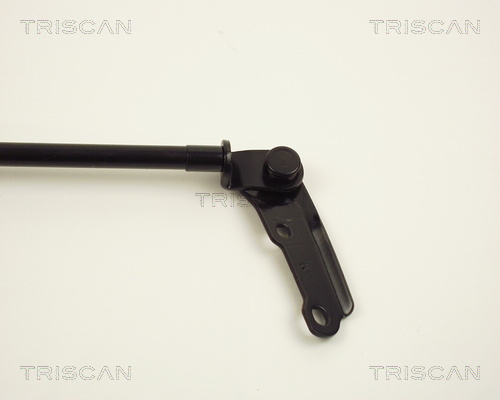 TRISCAN 8710 13225 Gasfjäder, bagageutrymme