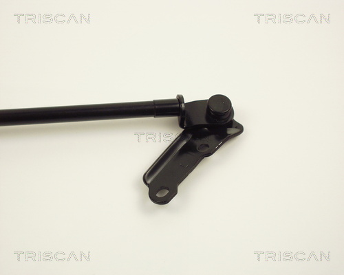 TRISCAN 8710 13226 Gasfjäder, bagageutrymme