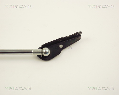 TRISCAN 8710 13231 Gasfjäder, bagageutrymme