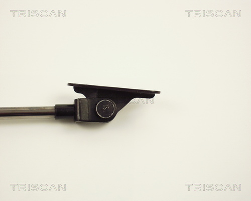 TRISCAN 8710 13233 Gasfjäder, bagageutrymme