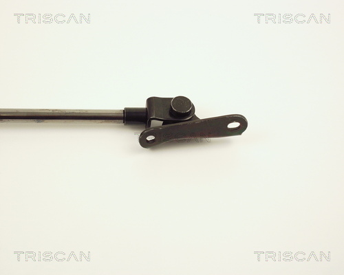 TRISCAN 8710 13234 Gasfjäder, bagageutrymme