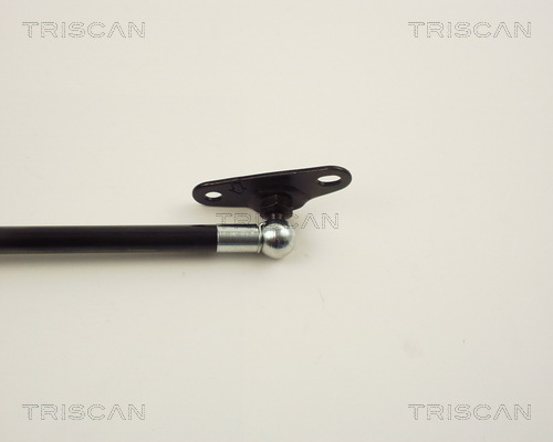 TRISCAN 8710 13244 Gasfjäder, bagageutrymme