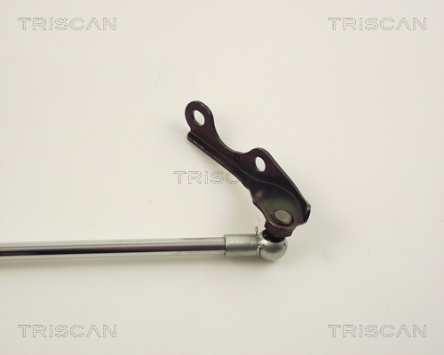 TRISCAN 8710 13247 Gasfjäder, bagageutrymme