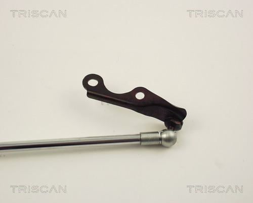 TRISCAN 8710 13248 Gasfjäder, bagageutrymme