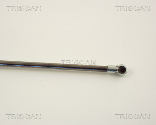 TRISCAN 8710 13251 Gasfjäder, bagageutrymme