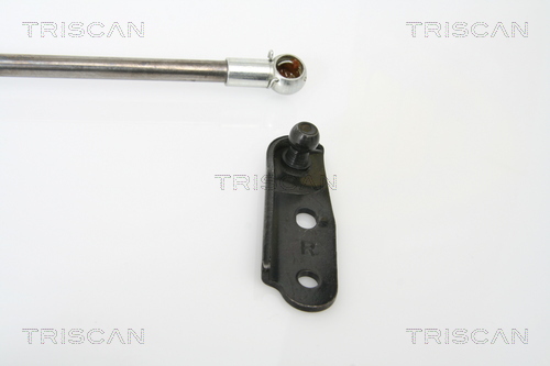 TRISCAN 8710 13252 Gasfjäder, bagageutrymme