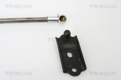 TRISCAN 8710 13253 Gasfjäder, bagageutrymme