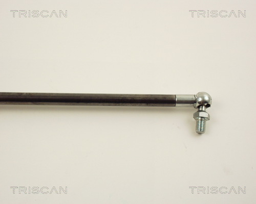 TRISCAN 8710 13255 Gasfjäder, bagageutrymme