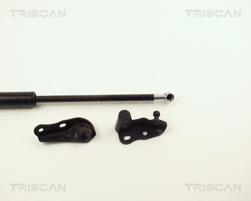 TRISCAN 8710 13264 Gasfjäder, bagageutrymme