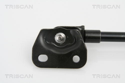 TRISCAN 8710 13271 Gasfjäder, bagageutrymme