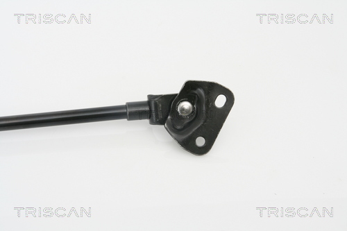 TRISCAN 8710 13272 Gasfjäder, bagageutrymme