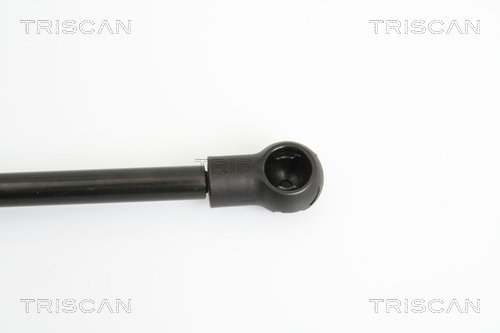 TRISCAN 8710 13273 Gasfjäder, bagageutrymme
