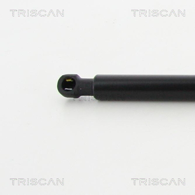 TRISCAN 8710 13276 Gasfjäder, bagageutrymme