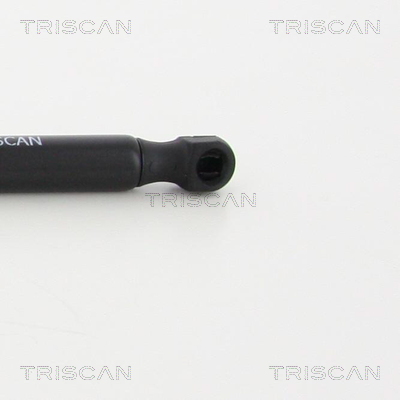 TRISCAN 8710 13279 Gasfjäder, bagageutrymme