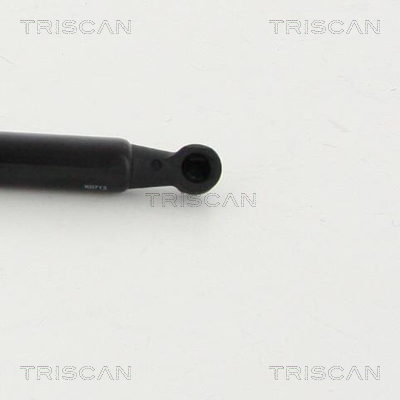TRISCAN 8710 13284 Gasfjäder, bagageutrymme