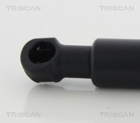 TRISCAN 8710 13292 Gasfjäder, bagageutrymme