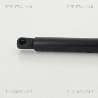 TRISCAN 8710 13293 Gasfjäder, bagageutrymme