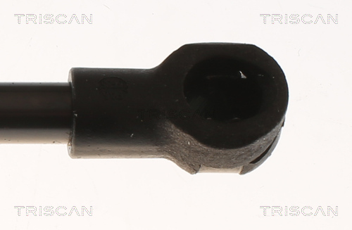 TRISCAN 8710 13297 Gasfeder, Koffer-/Laderaum