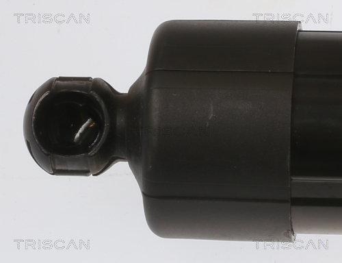 TRISCAN 8710 13301 Gasfjäder, bagageutrymme