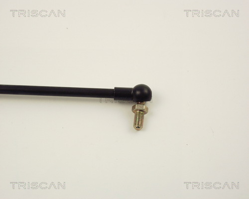 TRISCAN 8710 14101 Gasfeder, Motorhaube