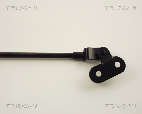 TRISCAN 8710 14202 Gasfjäder, bagageutrymme